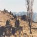 Old  Chineese gold miner houses New Zealand