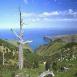 NZ circumnavigation, West coast South Island