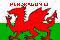 Welsh (Pendragon) flag
