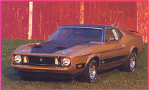 '73 Mustang 351 Q Mach I