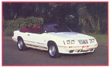 '84 20th Anniversary Mustang GT350