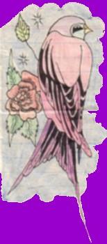 Bird and Rose