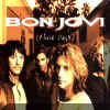 http://www.geocities.com/crushonbonjovi/BJ6coverthesedays.jpg (12635 bytes)