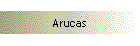 Arucas