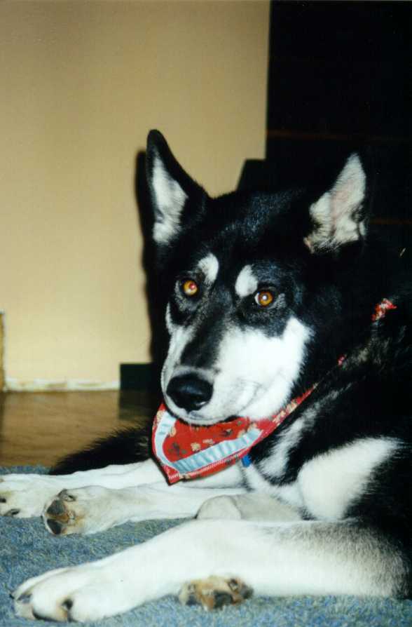 You Talkin to me?????