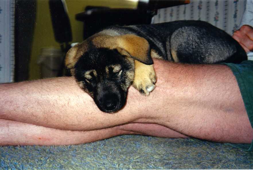 Ahh... Now this is the life...