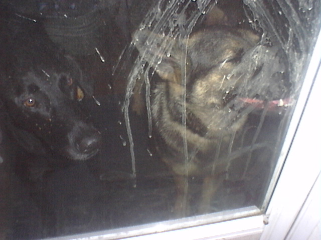 What a licker....