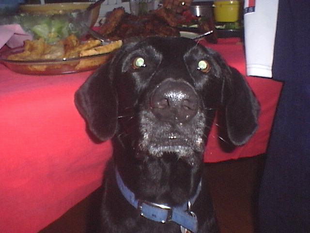 I see food...... lots of food.....