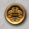 gold 13
