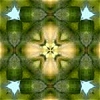 celtic circle
jpg 10k