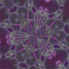 purple flakes 
jpg 10k