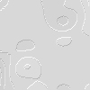 white circles
jpg 3k