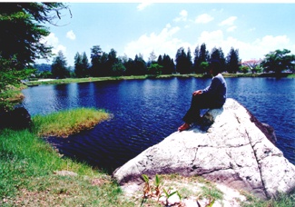 bicentennial park