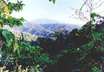 subic hills