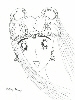 Sailor Moon