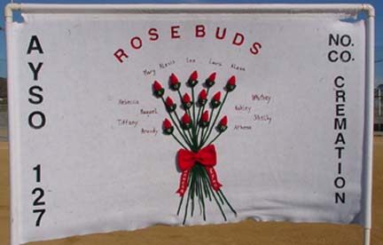 The Team Banner