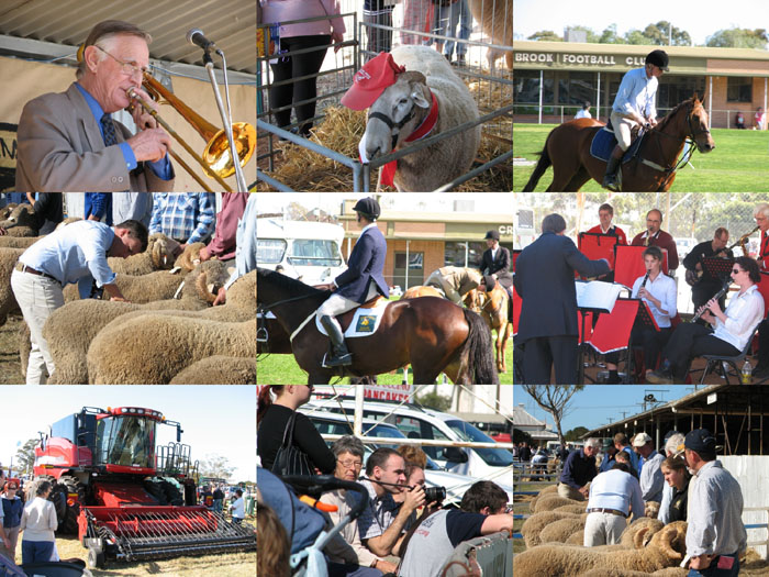 Crystal Brook show