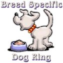 bsdrlogo.jpg