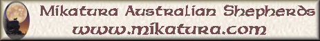 masbanner.gif
