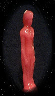 index001057.jpg
