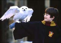 "Hey guys!&nbsp; Like my owl?!?"