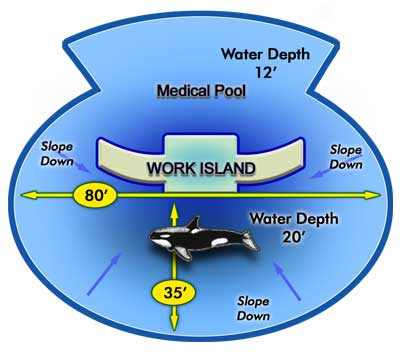 lolita compared to her tank