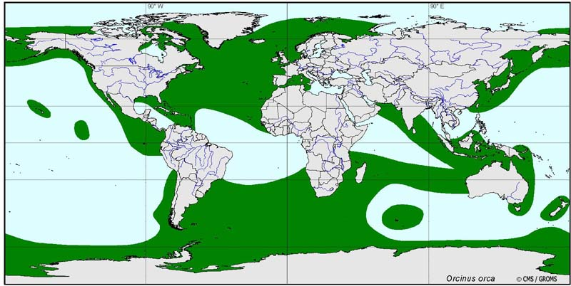 green area dictates Orca range