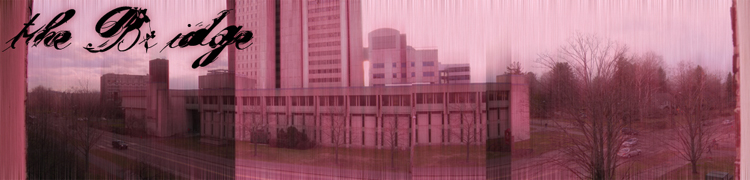 the bridge