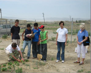 The first harvest at Gizildash