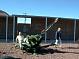 Nellis036.JPG