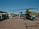 Nellis061.JPG