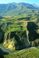 colca