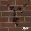 ump.jpg (7956 bytes)