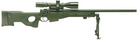 AWP.jpg (12398 bytes)