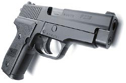 P228.jpg (28910 bytes)