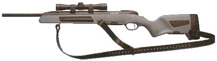 Scout.jpg (15644 bytes)