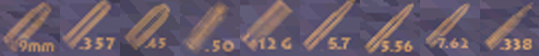 banner.jpg (31929 bytes)