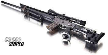 sig550.jpg (7311 bytes)