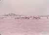 ��͵��.jpg (39652 bytes)