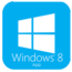Windows Store icon