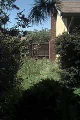 Side Yard/Fireplace in Living
