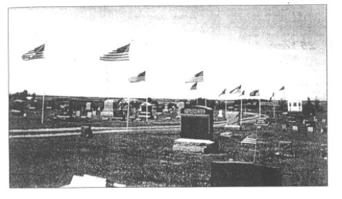 [picture of the cemetery with flags flying]