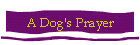 A Dog's Prayer