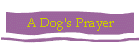 A Dog's Prayer