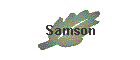 Samson