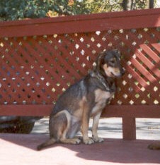 Rebel sitting up