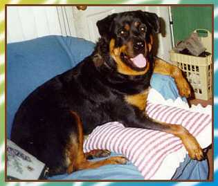 Rizzo at 3 years