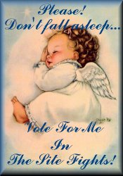 Click here to vote for me in The Site Fights! Thank you.