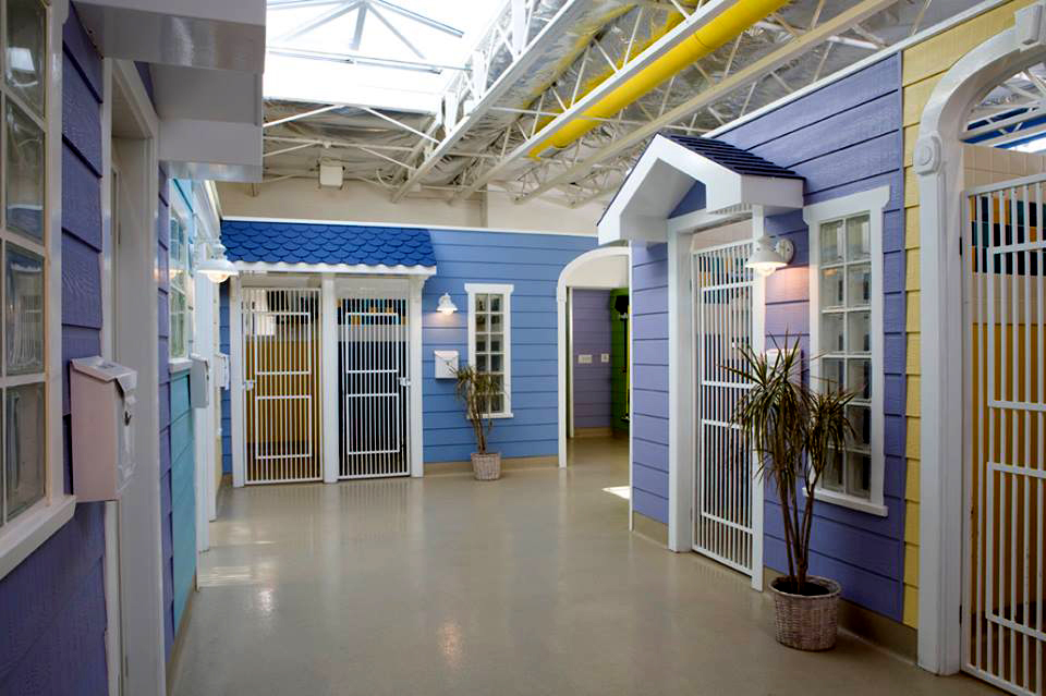 Dog Kennels