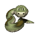 Rattlesnake